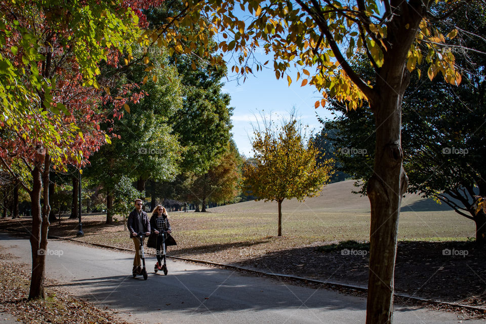 fall in Piedmont Park