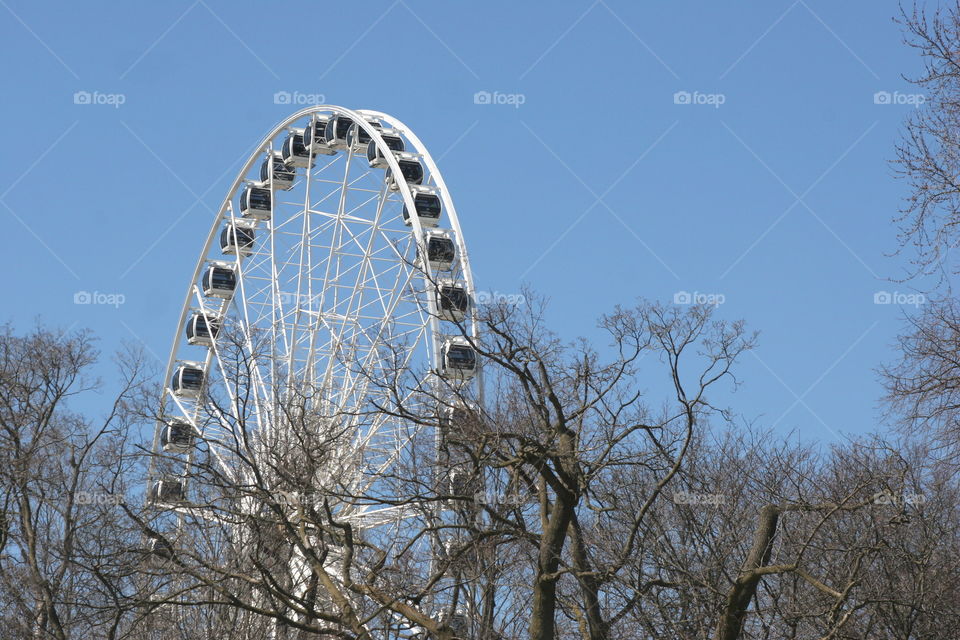 ferris wheel