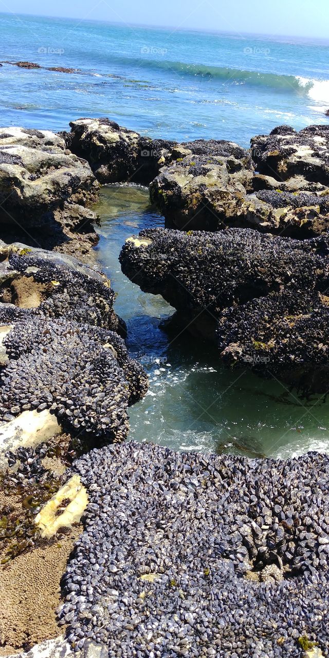 natural bridge beach