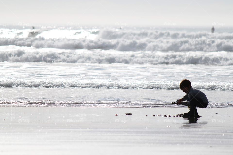 Collecting crabs