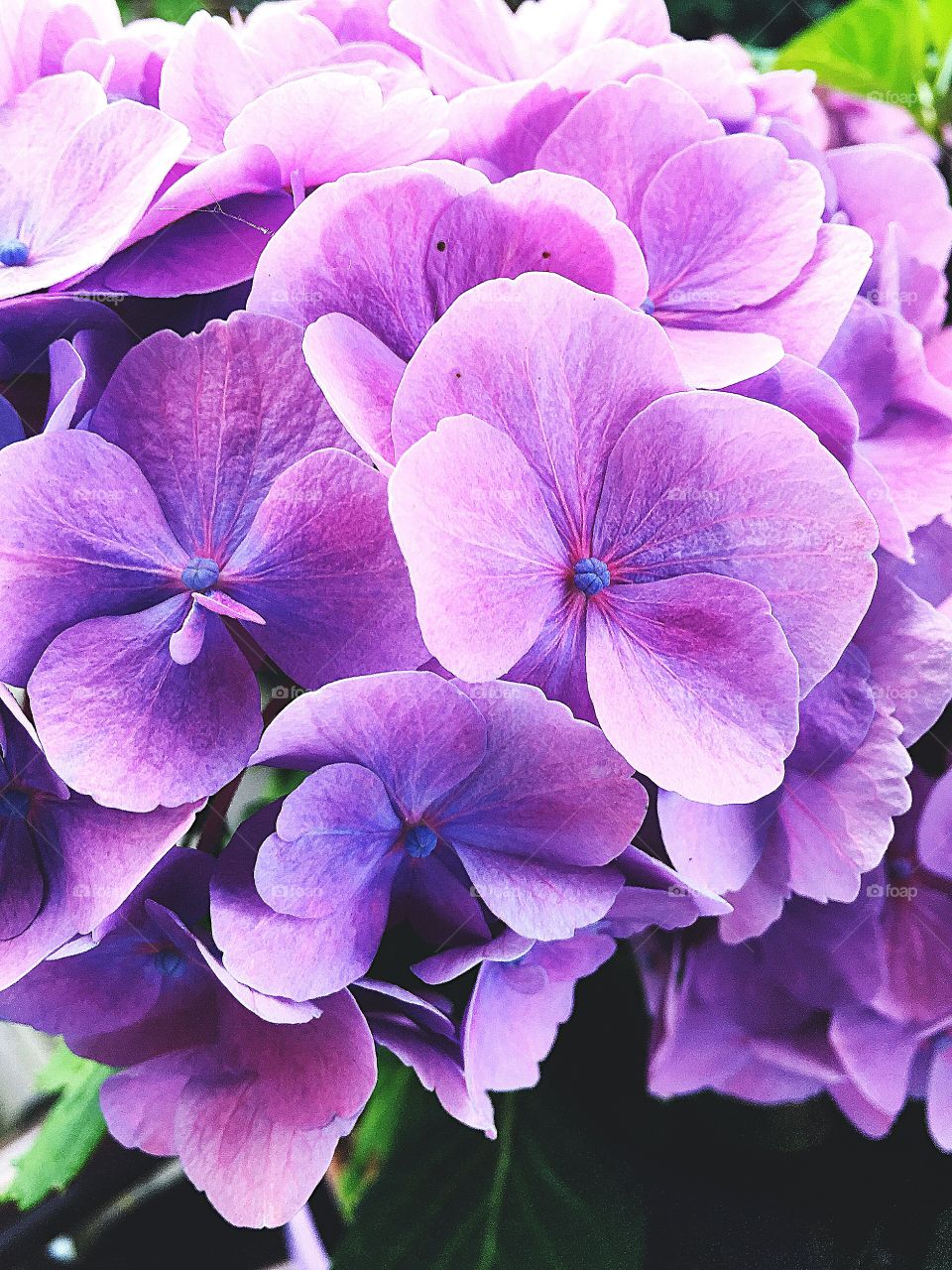 Captured with iPhone 6s Plus 