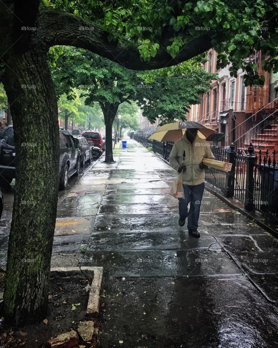 Rainy daze