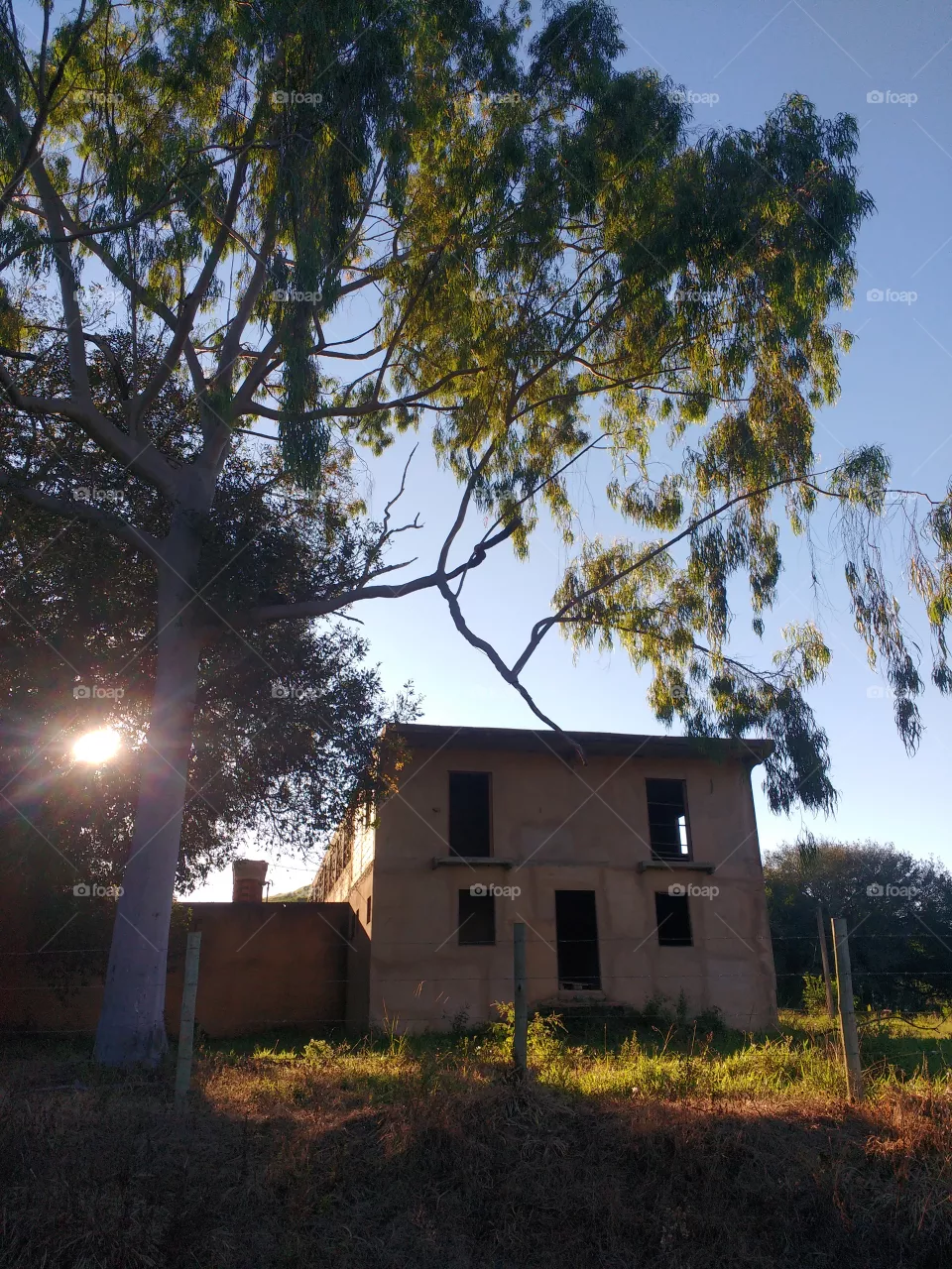 lindo