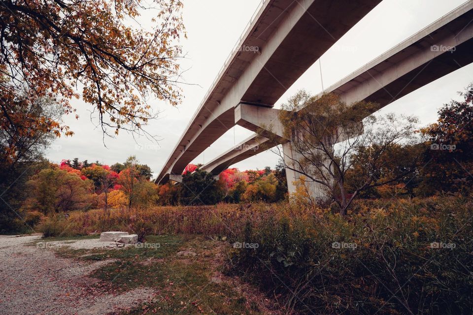 interesting lines, architecture with beautiful fall autumn colors