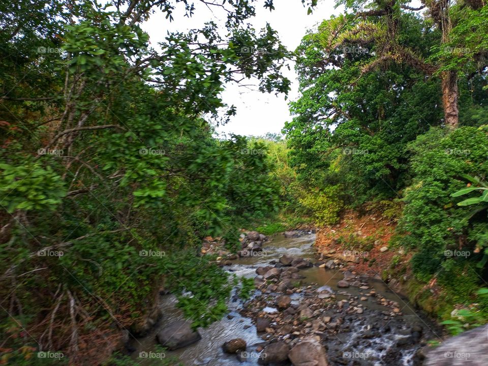 View of the river from a height