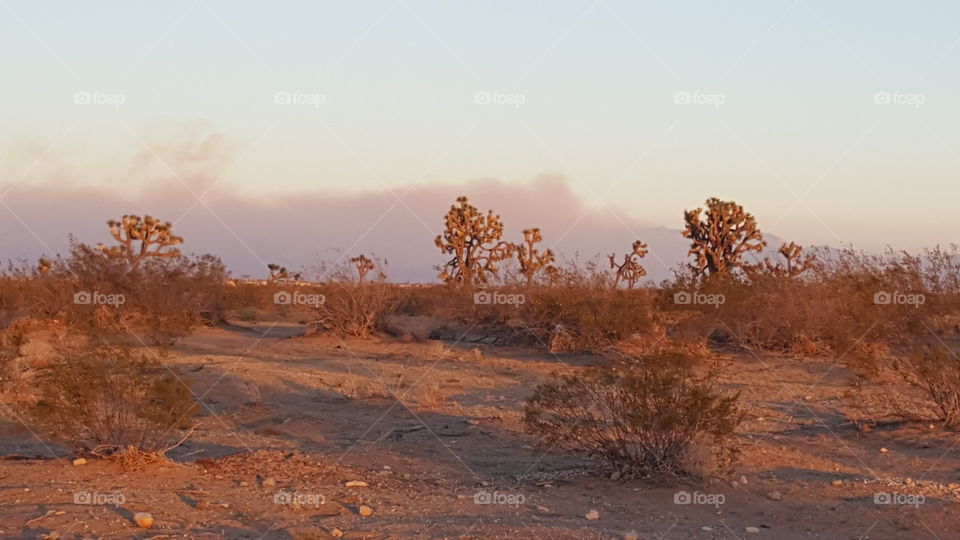 Desert land at sunset with fire and smoke