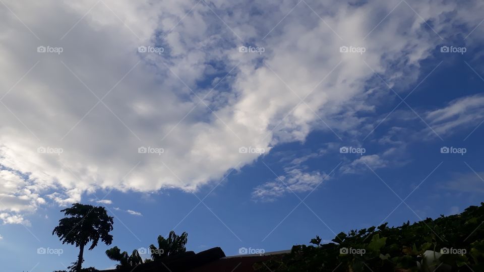 Beautiful cloud in the sky