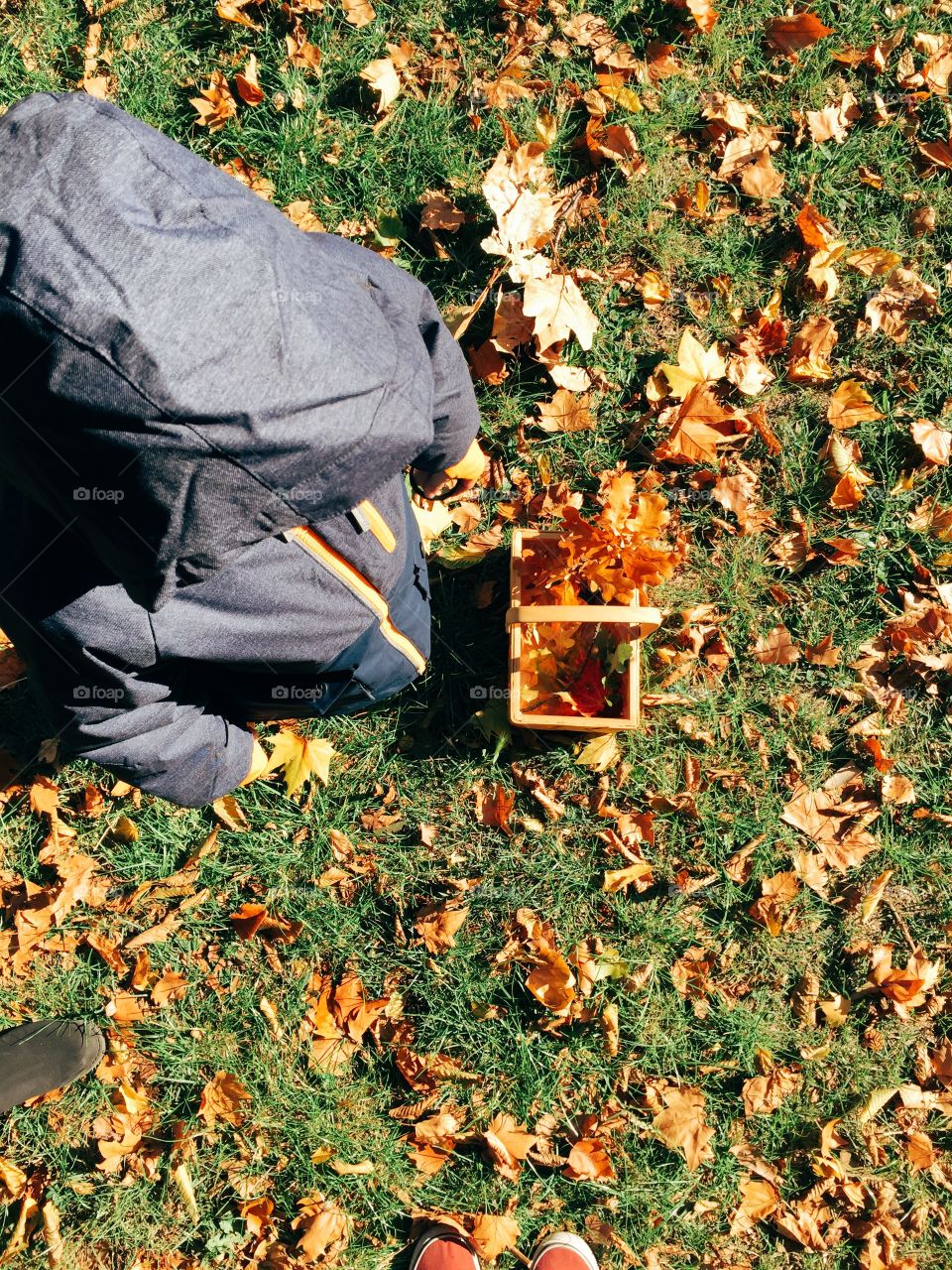 Boy in hood standing with basket of autumn leaf