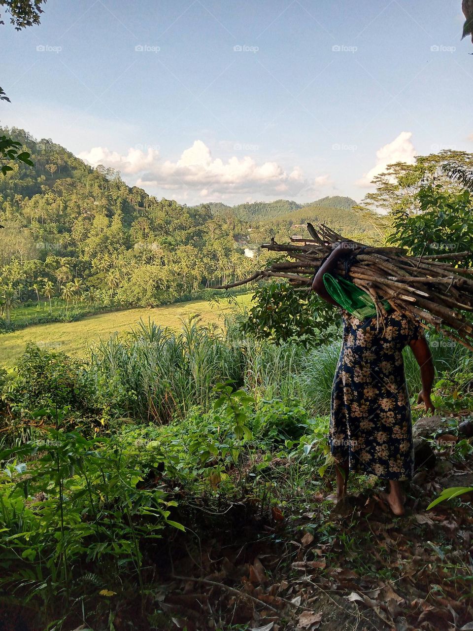 The woman chopping wood