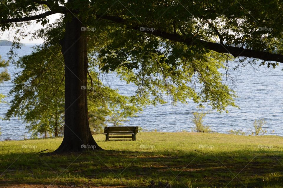 Empty bench near lakeshore