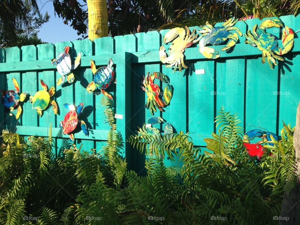 Fence with turtle & crab Art & craft projects.