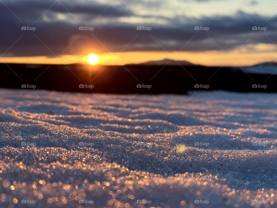 golden sunset in a snowy field