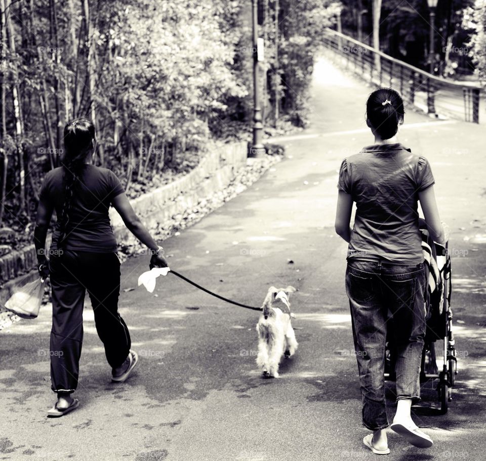 Women and dog walking