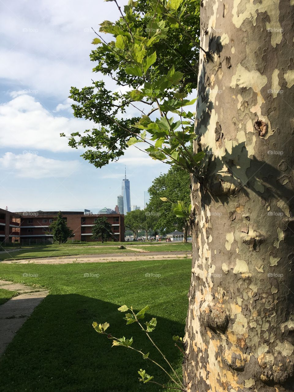 Freedom Tower from Governor’s Island