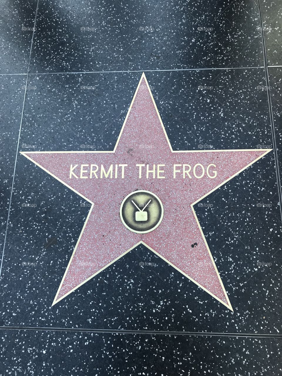 Hollywood square Kermit the Frog