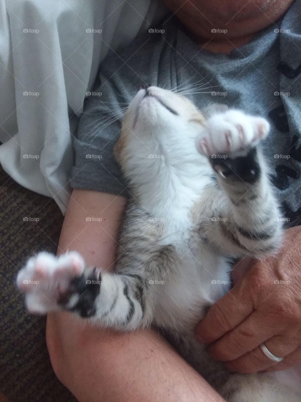 Moon- Air Biscuits 1