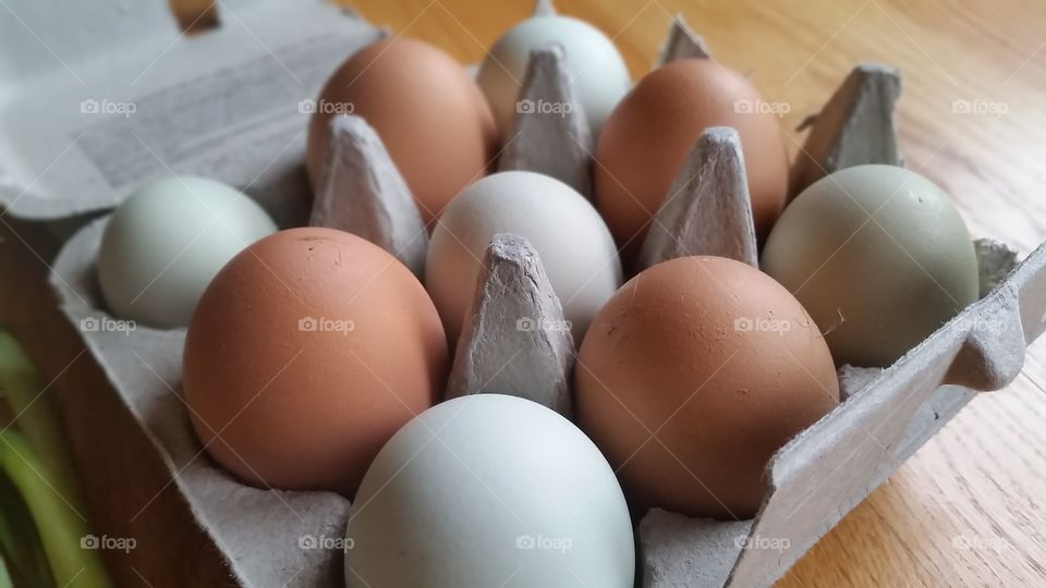 farm eggs