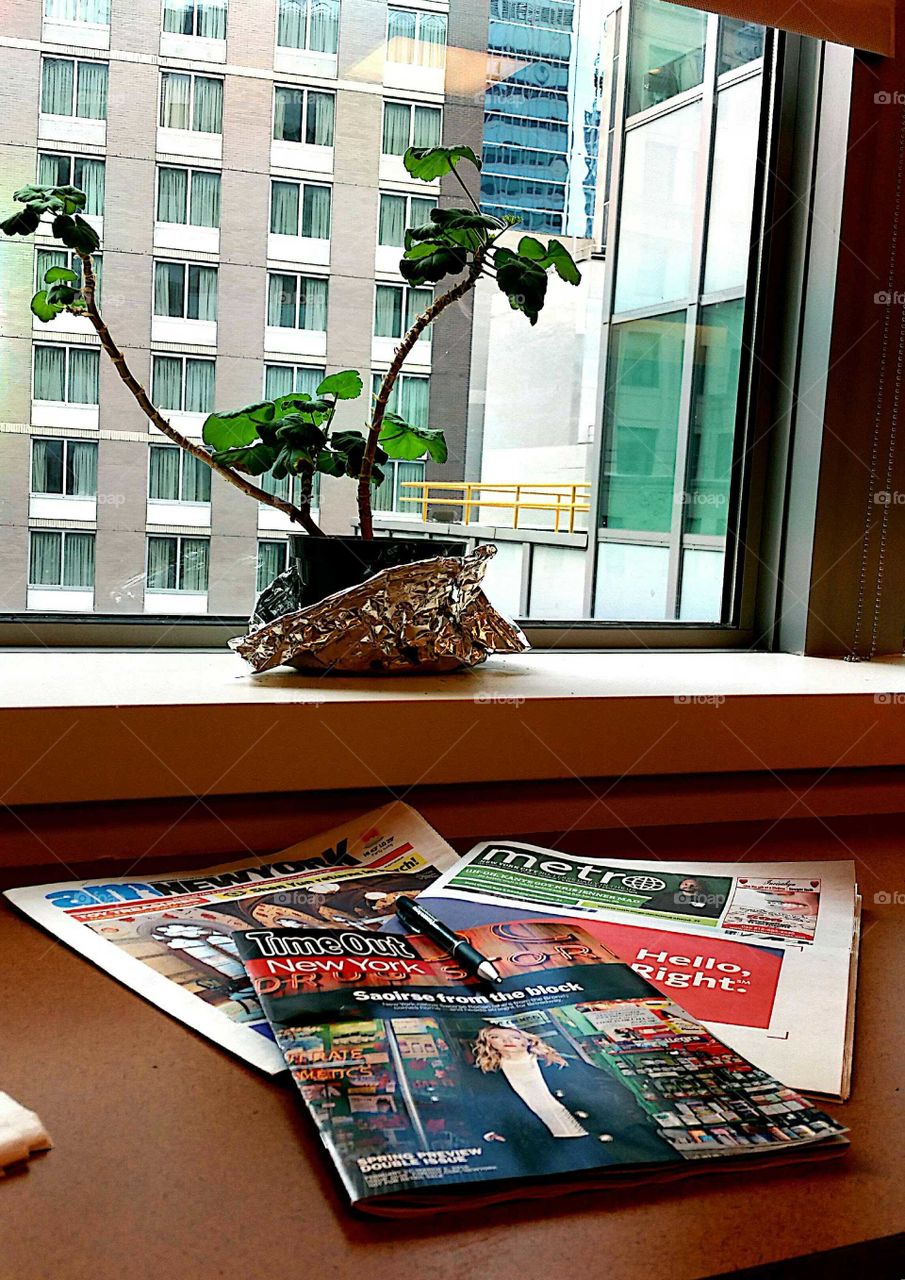 Business, Street, House, Landscape, People