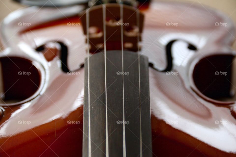 Violin 