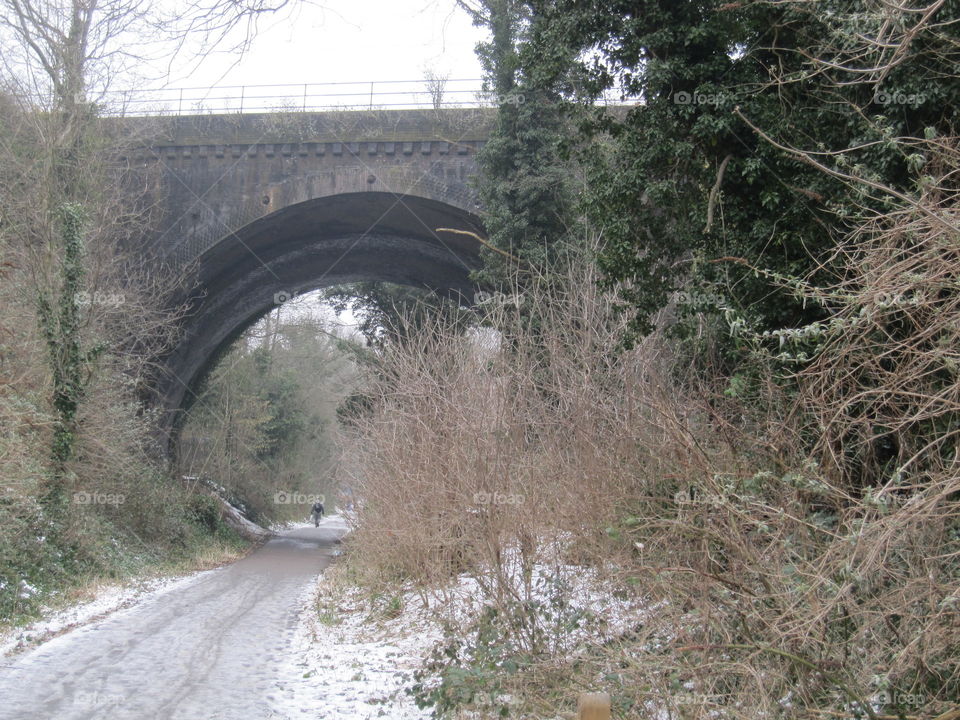 Tunnel In Winter