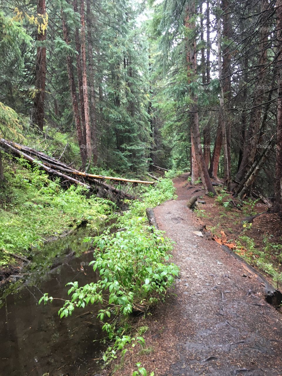 Breck trail