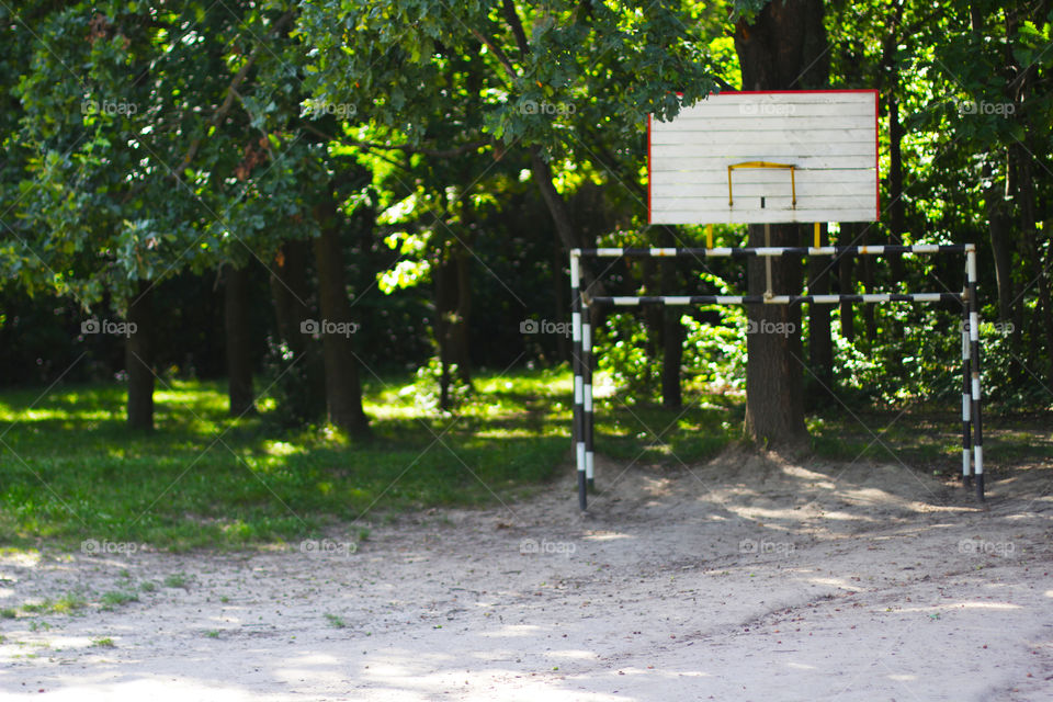 Goal in the forest 