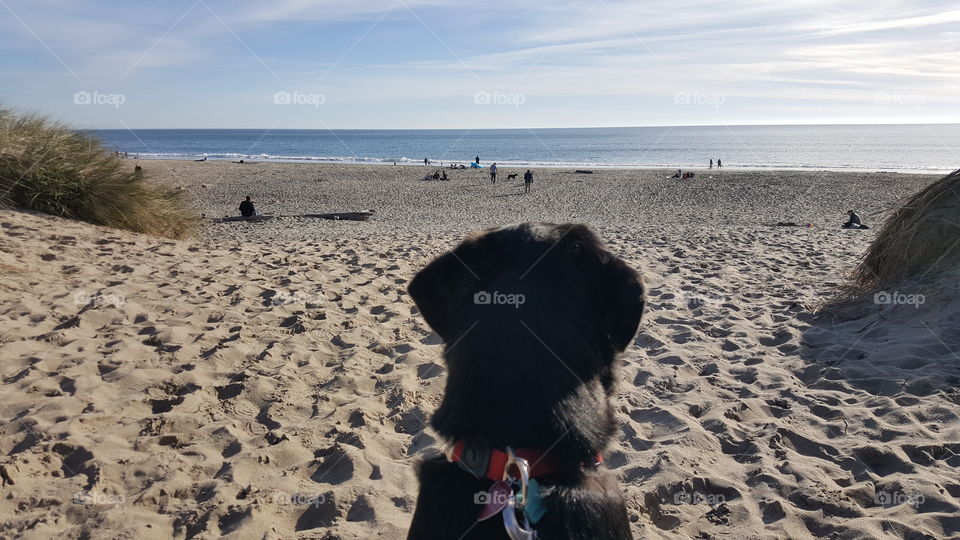 Waiting with anticipation