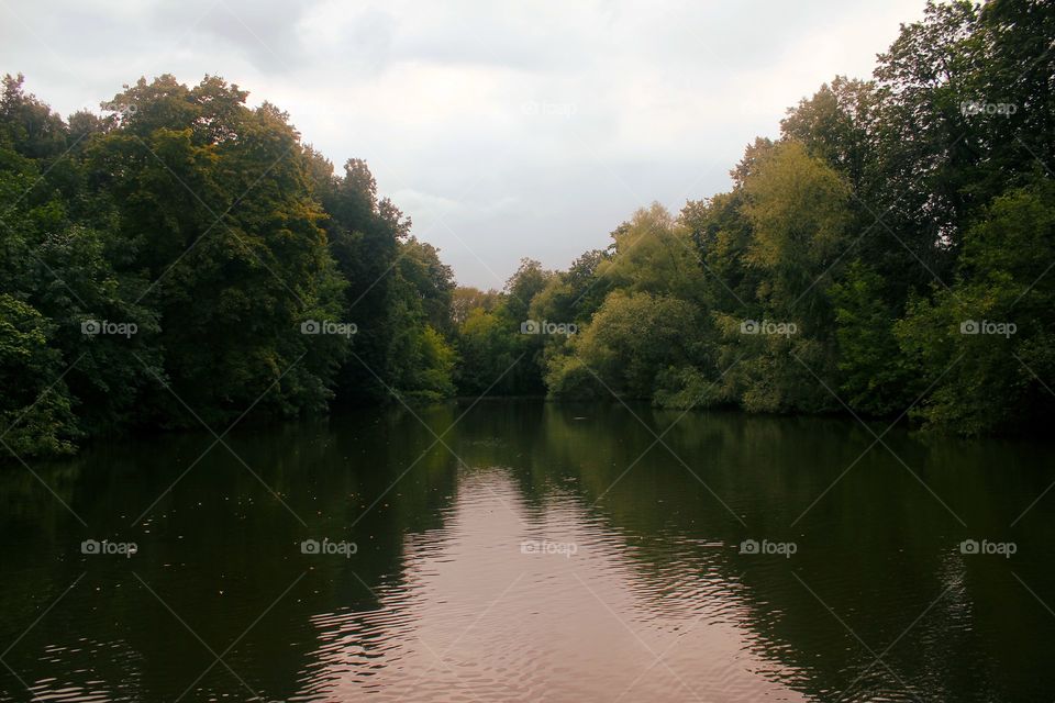 Pond in late august, trees reflection in calm water, steely grey sky above