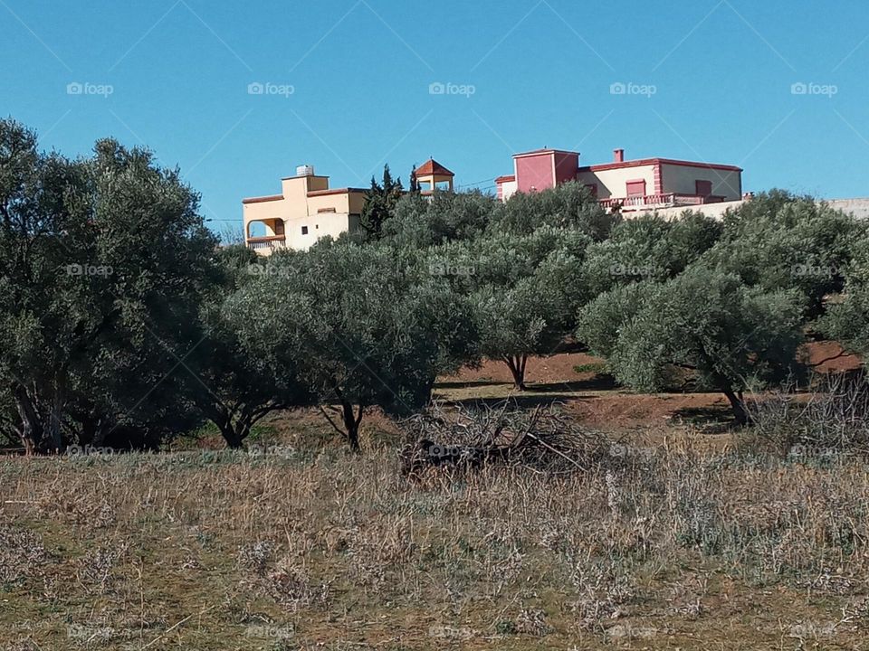 Population between the nature