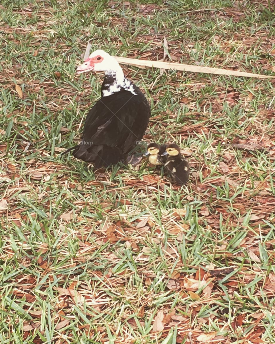 Nature at its finest 💛