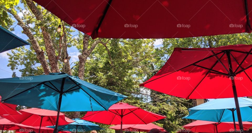 a break underneath the canopies