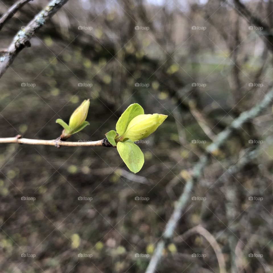Signs of spring