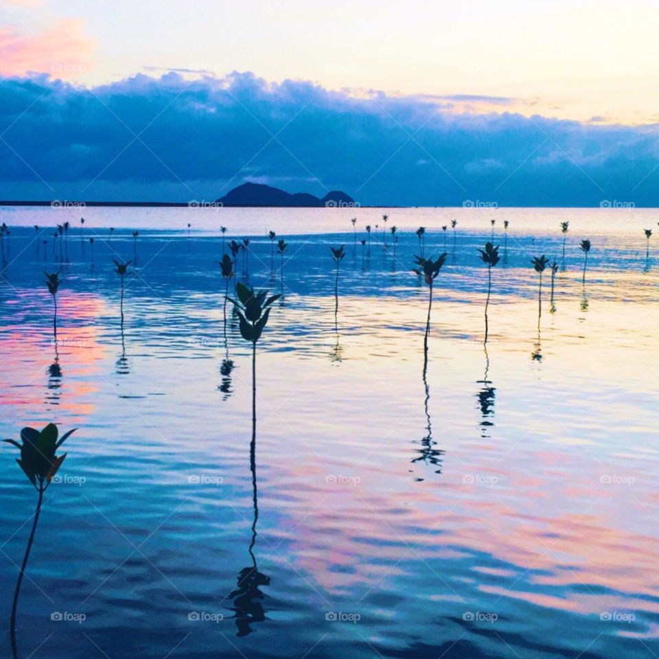 Koh Pha Ngan NW Mangrove sunset 