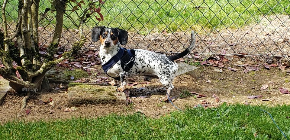 don't mind me just working on my tan.