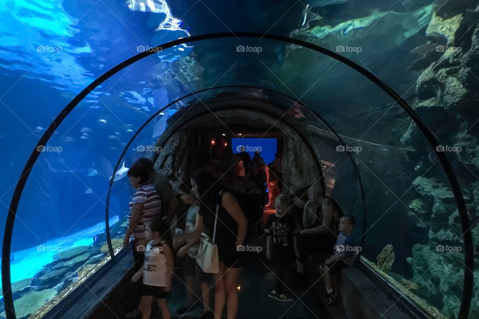 Underwater Tunnel 