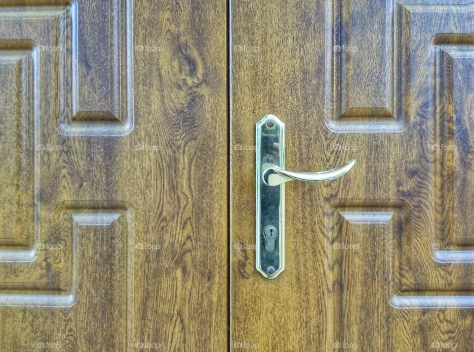 the door двери
