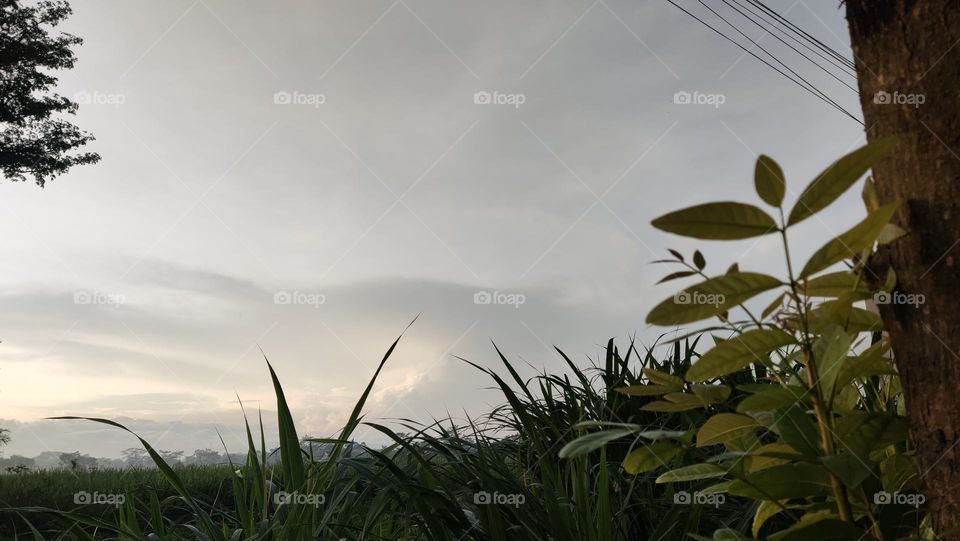 matahari terbit di pare