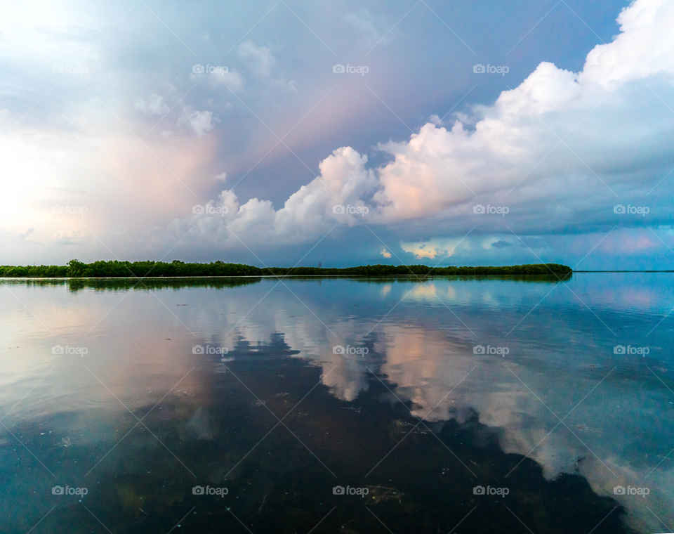 Water reflections 