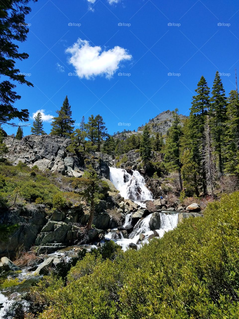 springtime waterfall in the Sierras