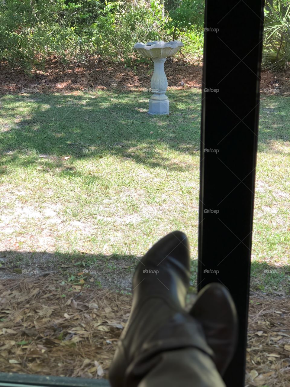 Sitting at the dentist looking at the bird feeder