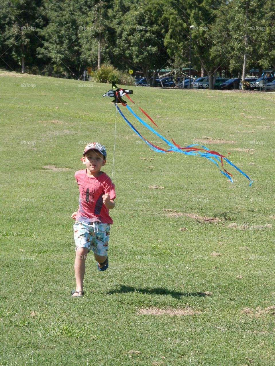 Flying Kite