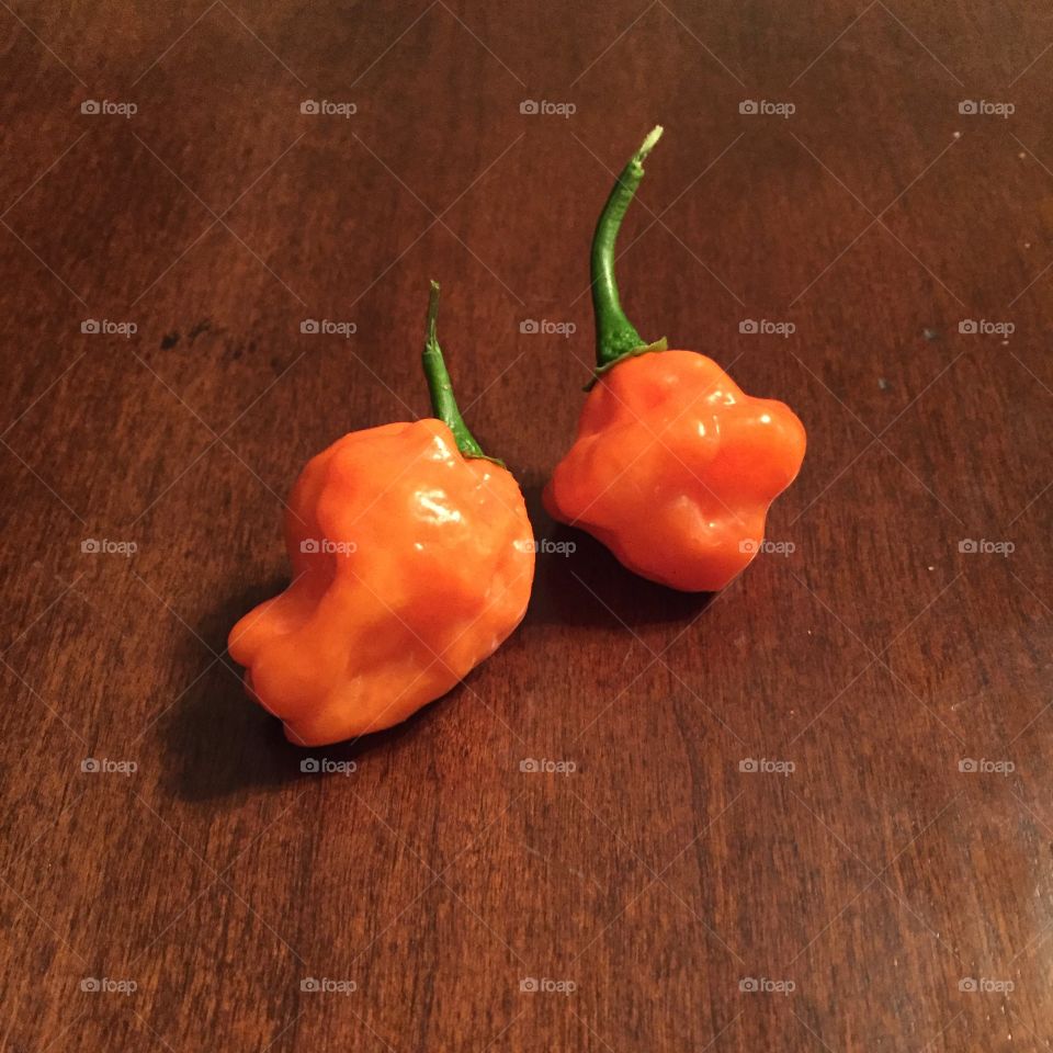 Freshly picked habaneros