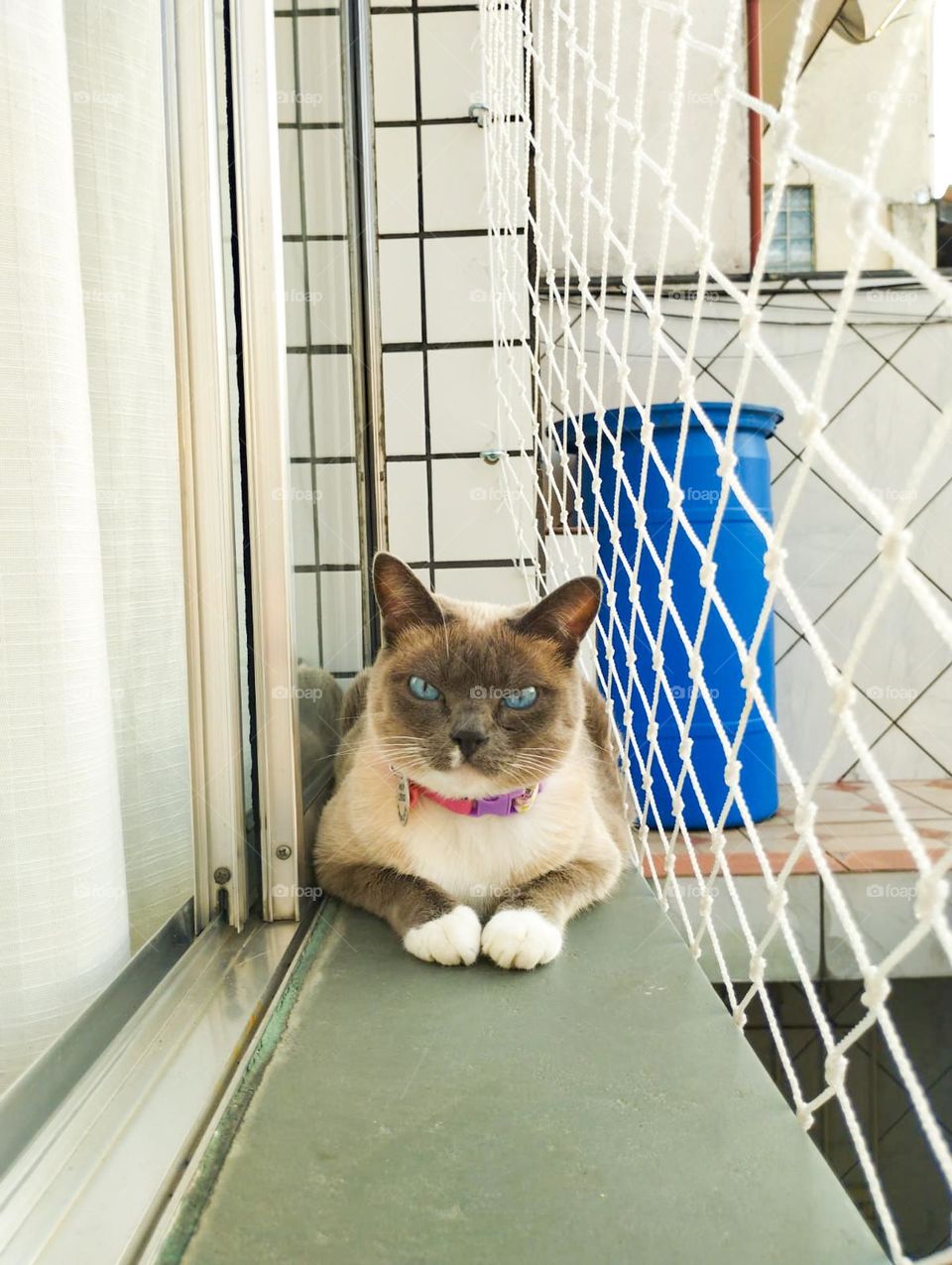 why are you loonking at me?