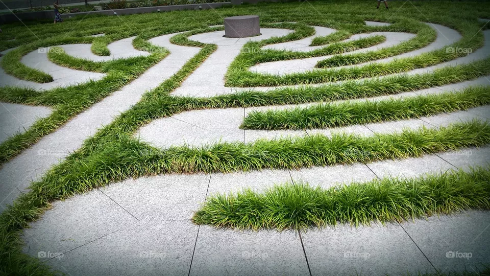 Maze