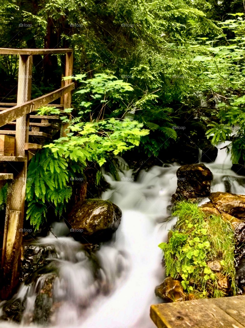 Water Under the Bridge