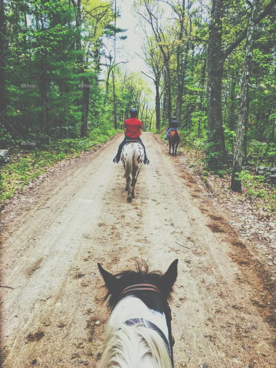 Riding with Friends