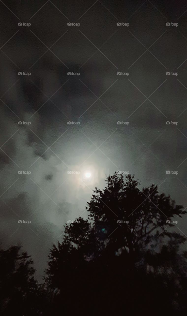cloudy moonlit night