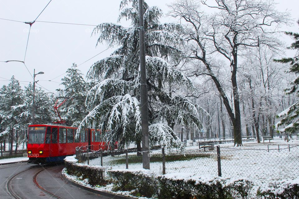 City landscape .A winter snowy idyll in the city, an old red tram moving through the city park