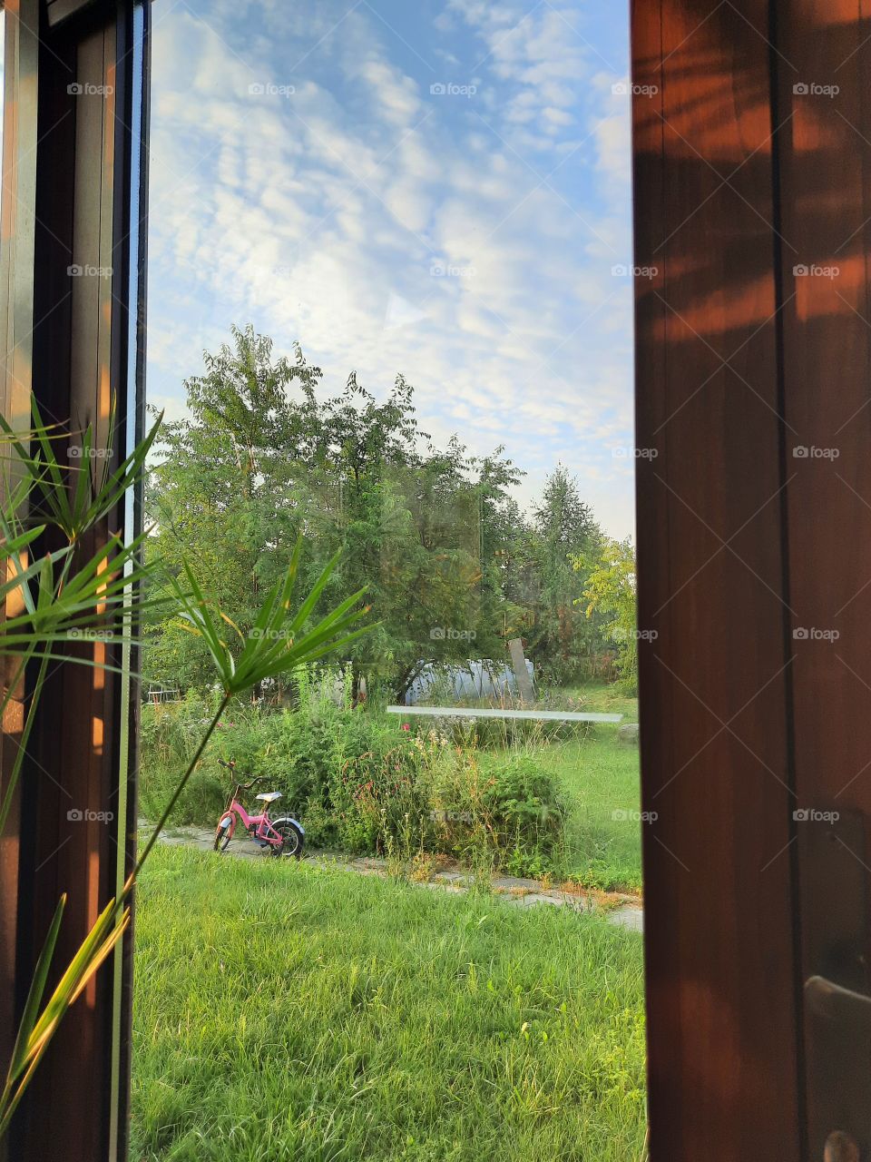 morning window vue on summer garden