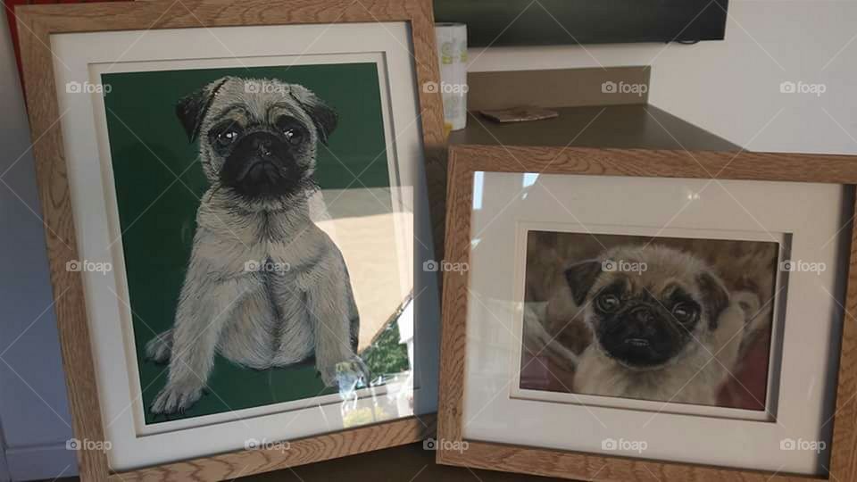 Our pug painting
